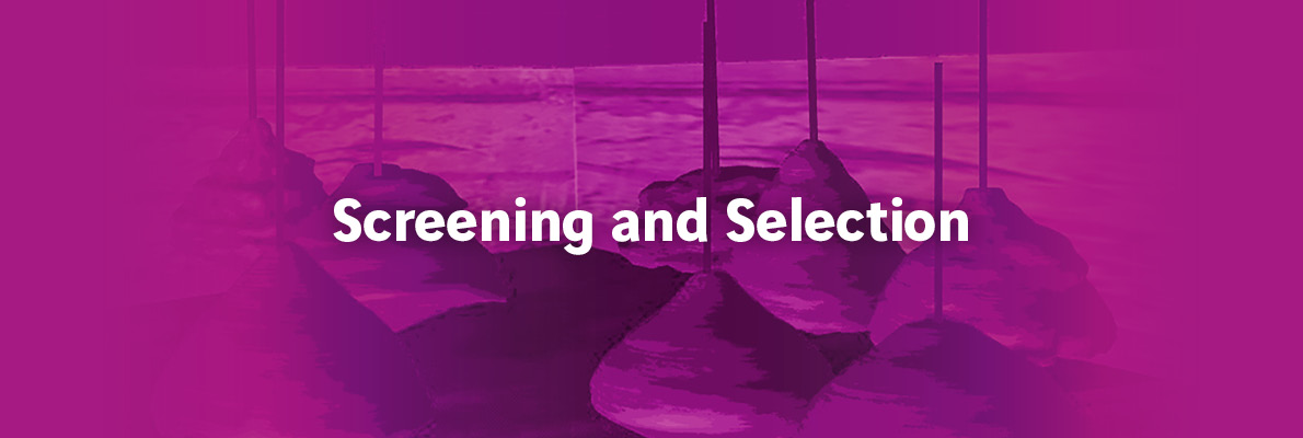 Screening and Selection Services